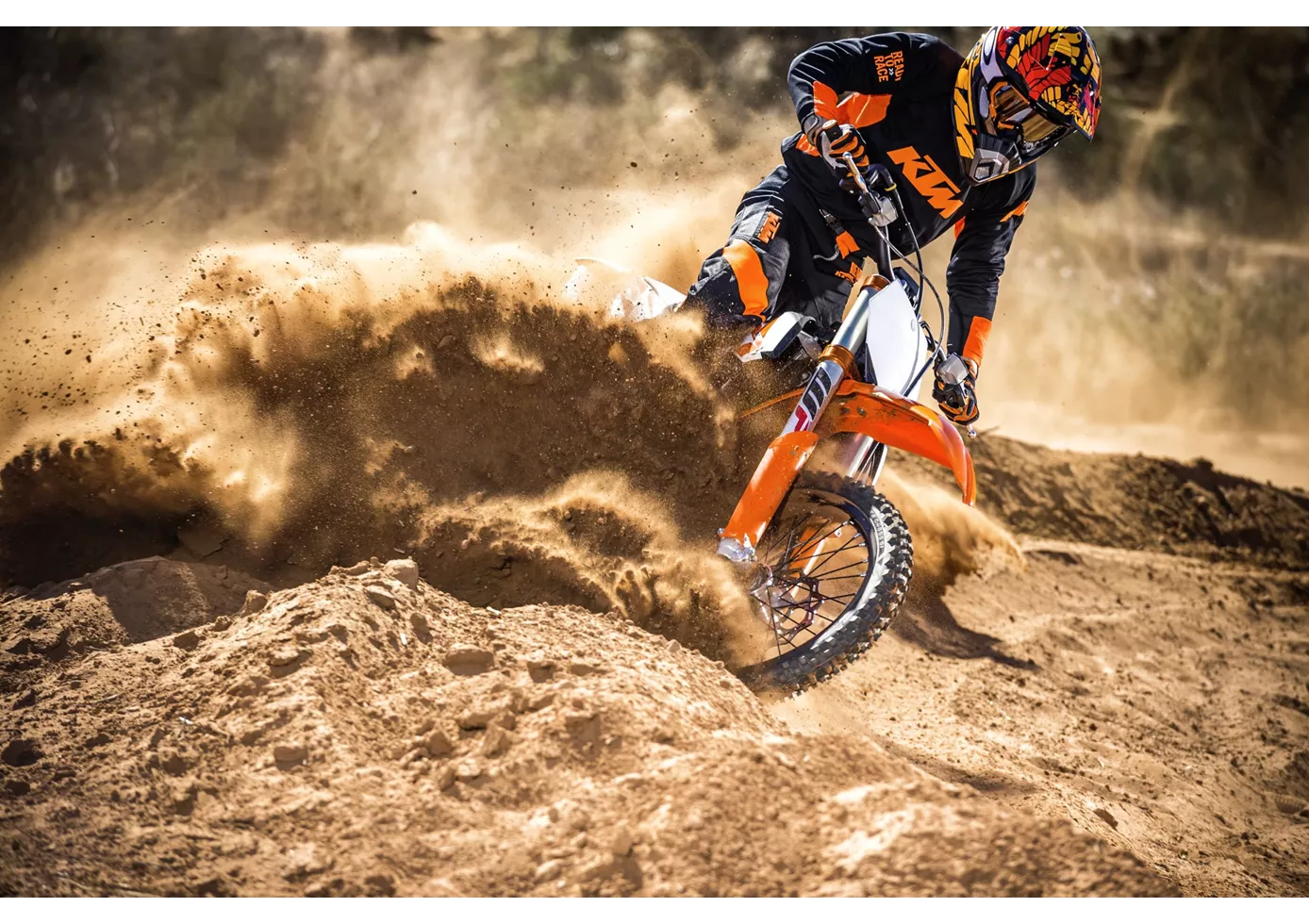 KTM 85 SX 17/14 2017 KTM 85 SX 17/14 2017